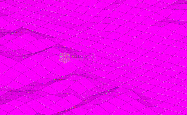 边坡局部位移场.gif